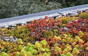 the cost of Mains Of Gray green roof installation