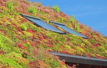 Mains Of Gray living roof systems